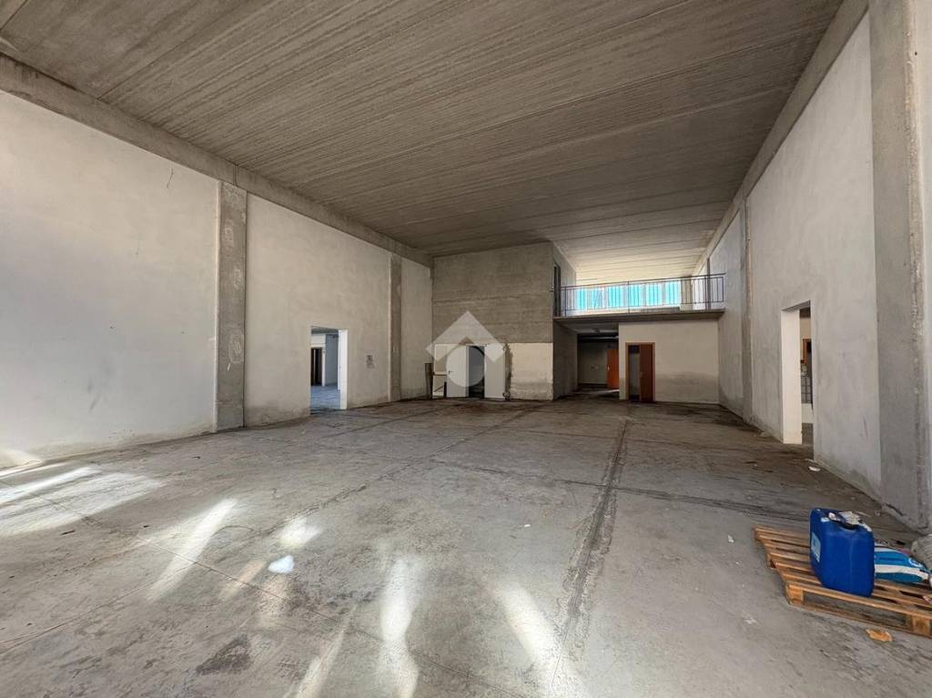 immagine annuncio 3 di 14