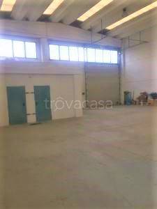 immagine annuncio 5 di 8