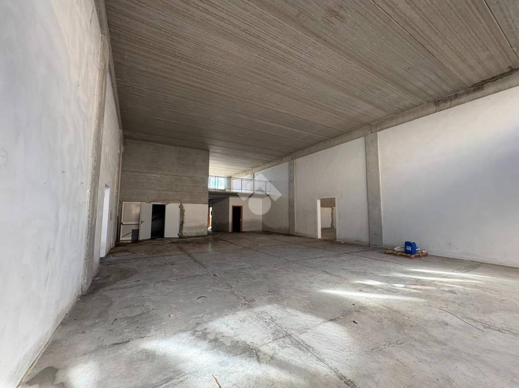 immagine annuncio 4 di 14