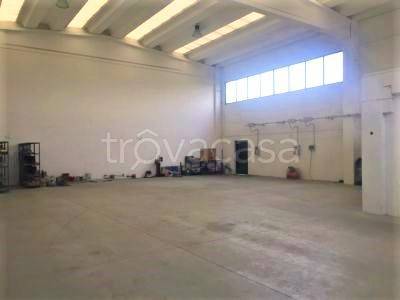 immagine annuncio 6 di 8