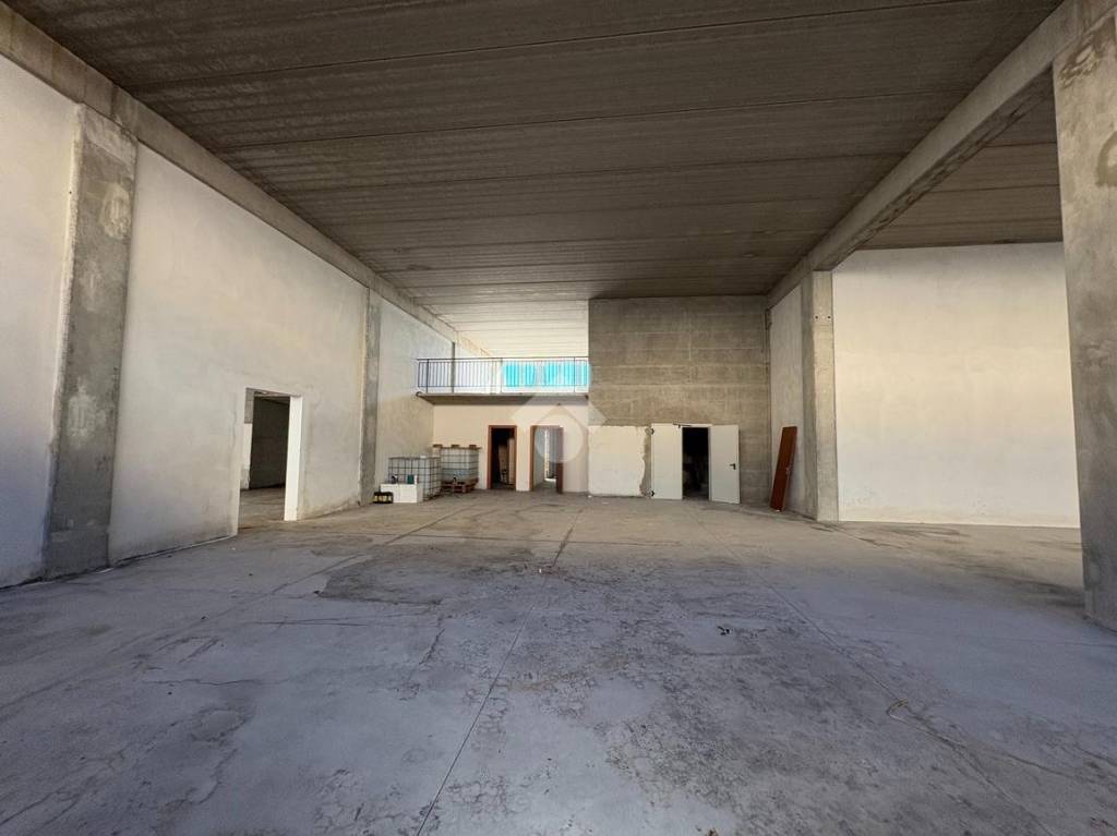 immagine annuncio 7 di 14