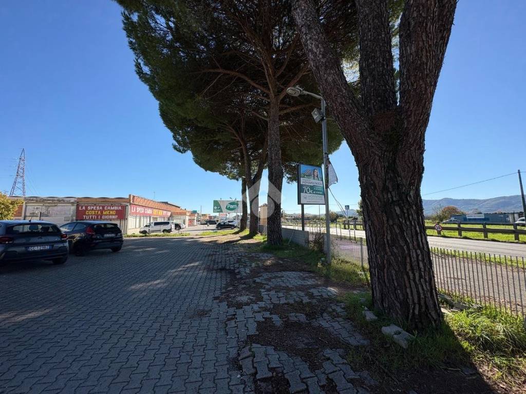 immagine annuncio 13 di 14