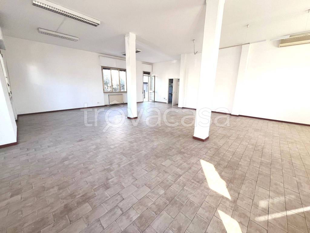 immagine annuncio 3 di 12