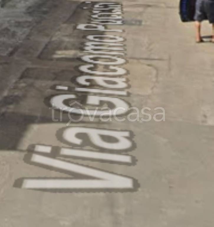 immagine annuncio 11 di 14