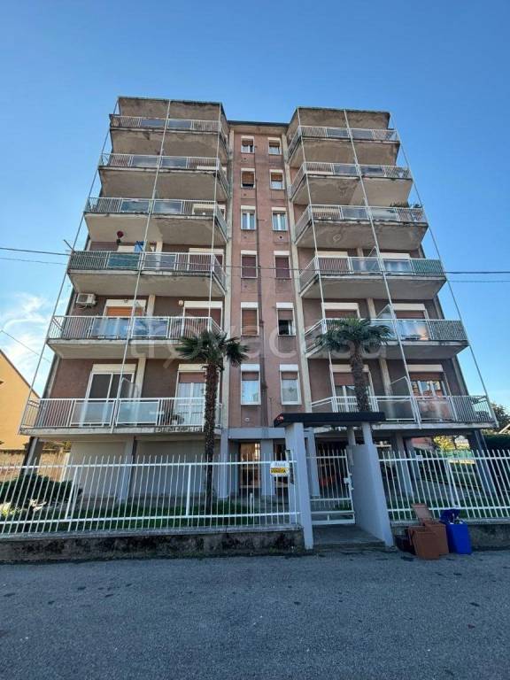 immagine annuncio 1 di 14