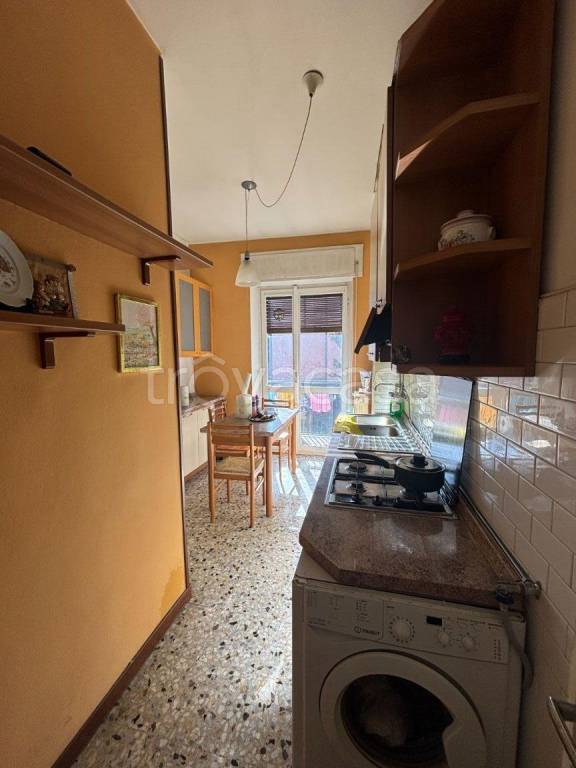 immagine annuncio 10 di 14