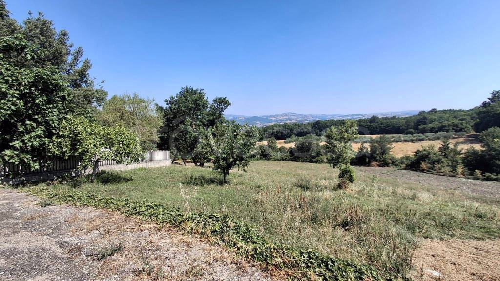 immagine annuncio 4 di 13