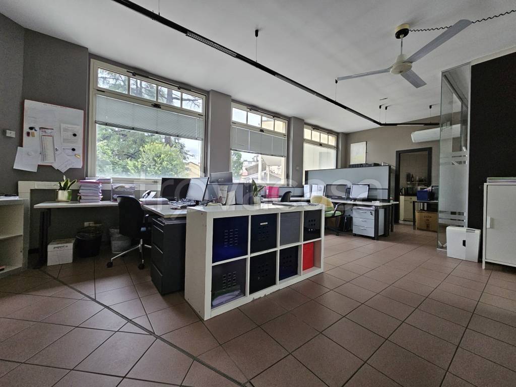 immagine annuncio 6 di 13