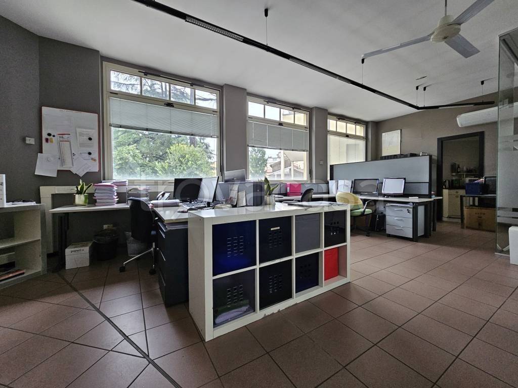 immagine annuncio 11 di 13