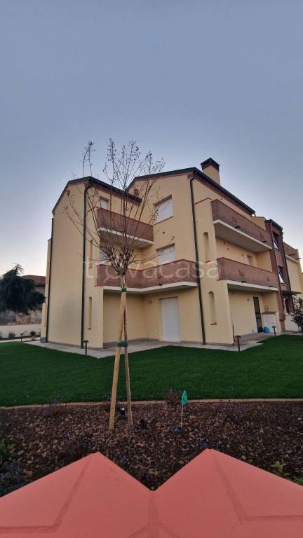 immagine annuncio 9 di 12