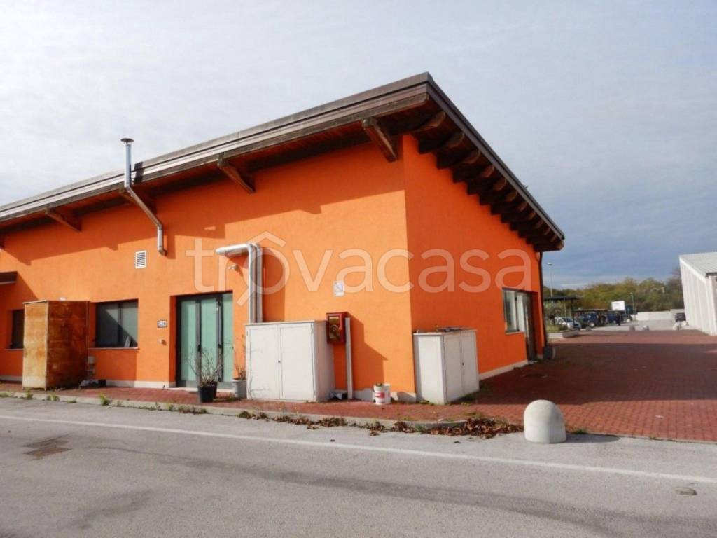 immagine annuncio 4 di 12