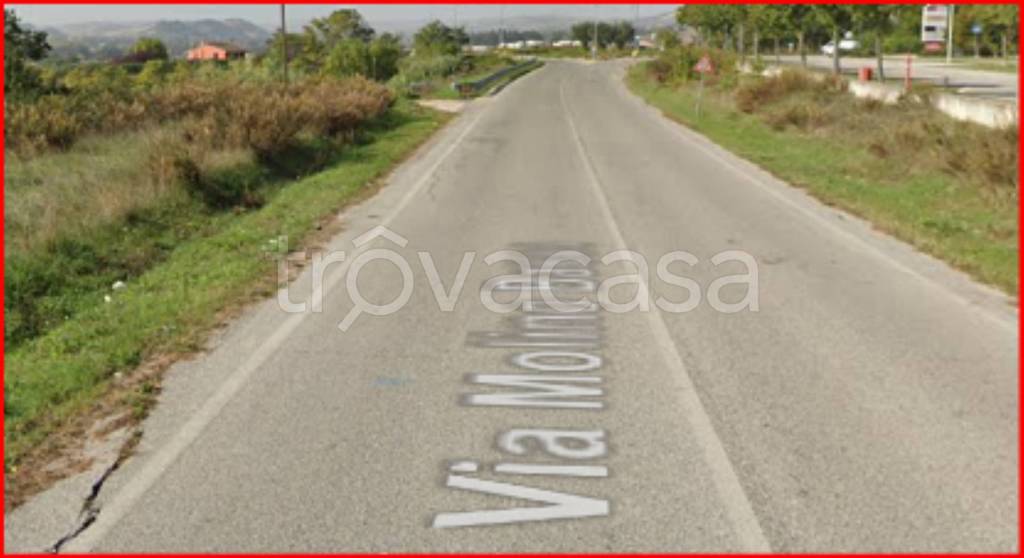 immagine annuncio 5 di 12