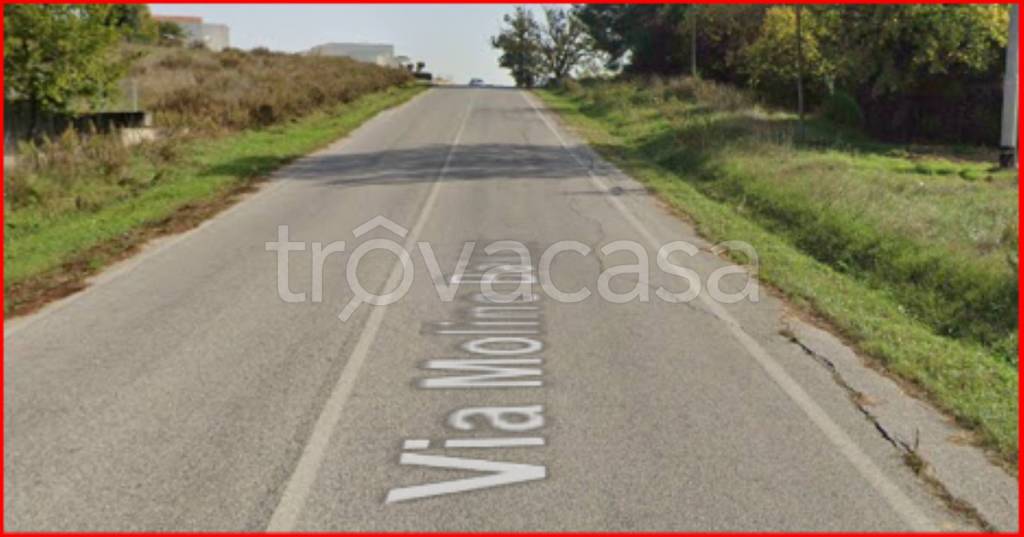 immagine annuncio 9 di 12