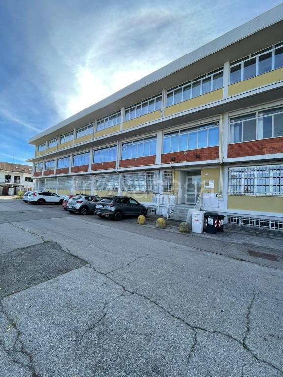 immagine annuncio 1 di 12