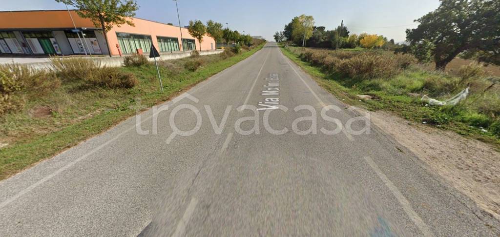 immagine annuncio 6 di 11