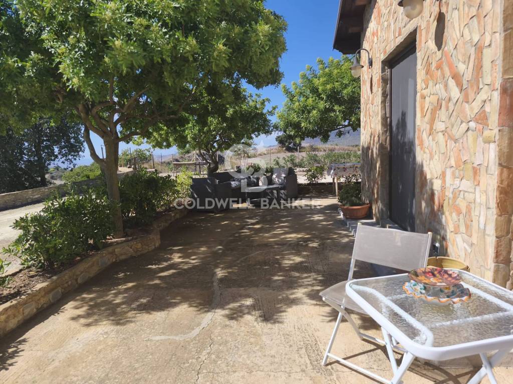 immagine annuncio 6 di 14