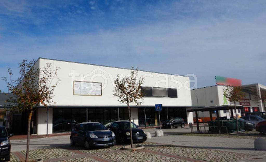 immagine annuncio 4 di 7