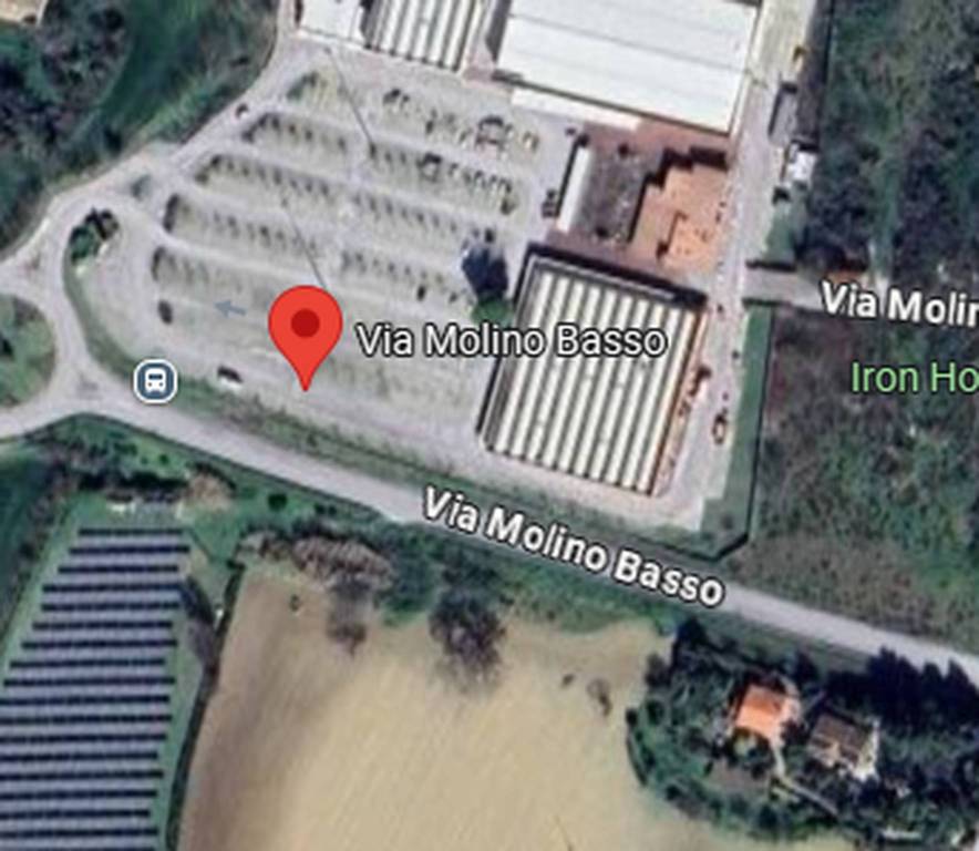 immagine annuncio 5 di 7