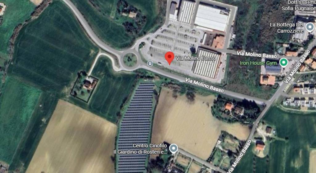 immagine annuncio 1 di 11