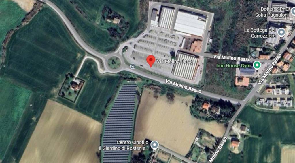 immagine annuncio 3 di 11