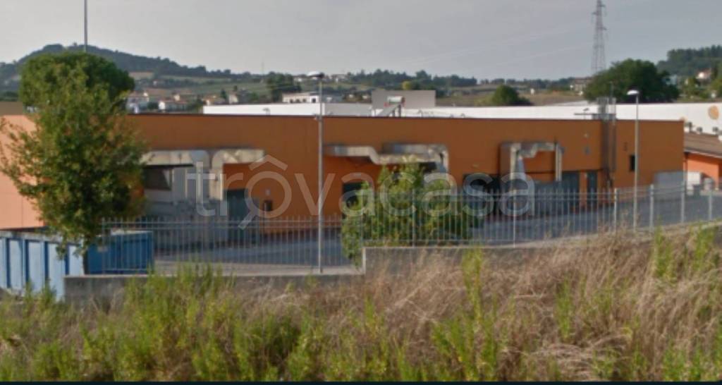 immagine annuncio 10 di 11