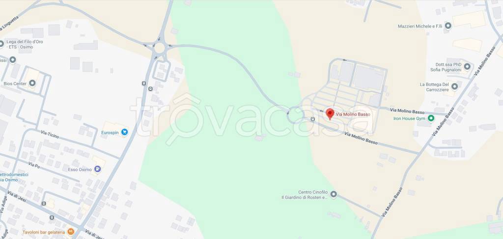 immagine annuncio 1 di 11