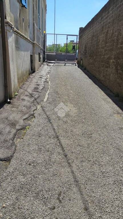 immagine annuncio 5 di 12