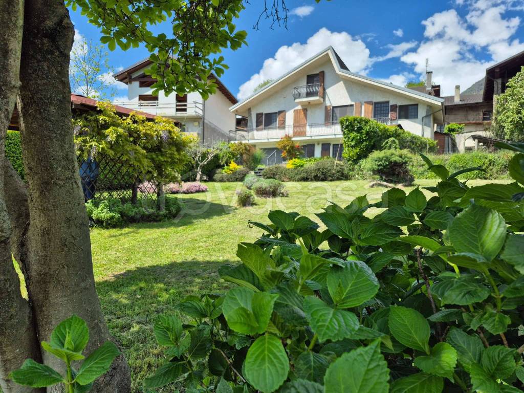 immagine annuncio 10 di 15