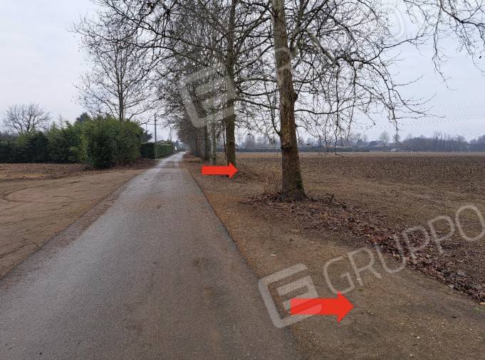 immagine annuncio 5 di 12