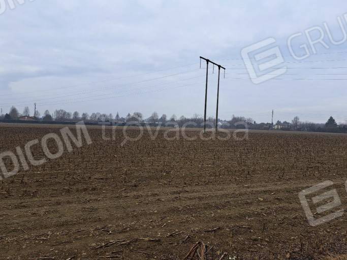 immagine annuncio 6 di 12