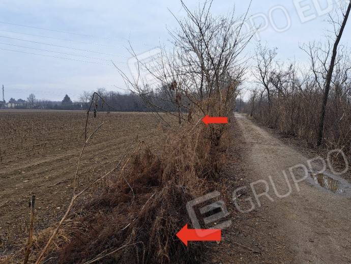 immagine annuncio 7 di 12