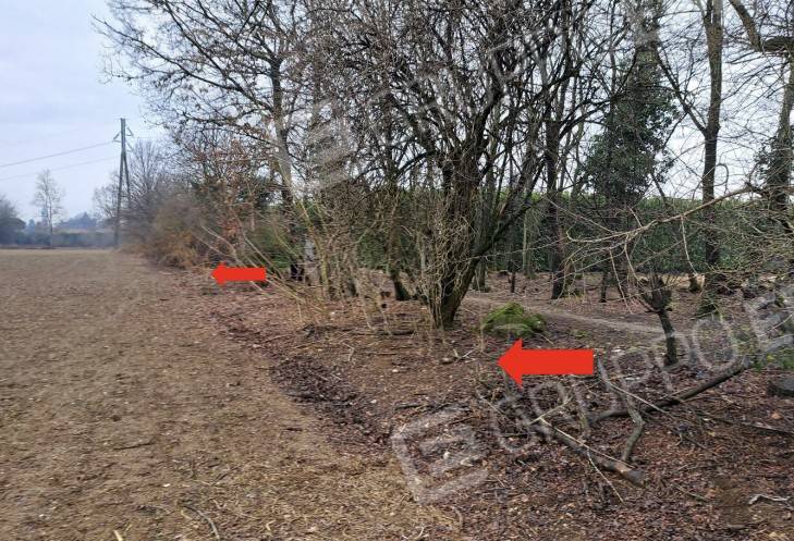 immagine annuncio 9 di 12