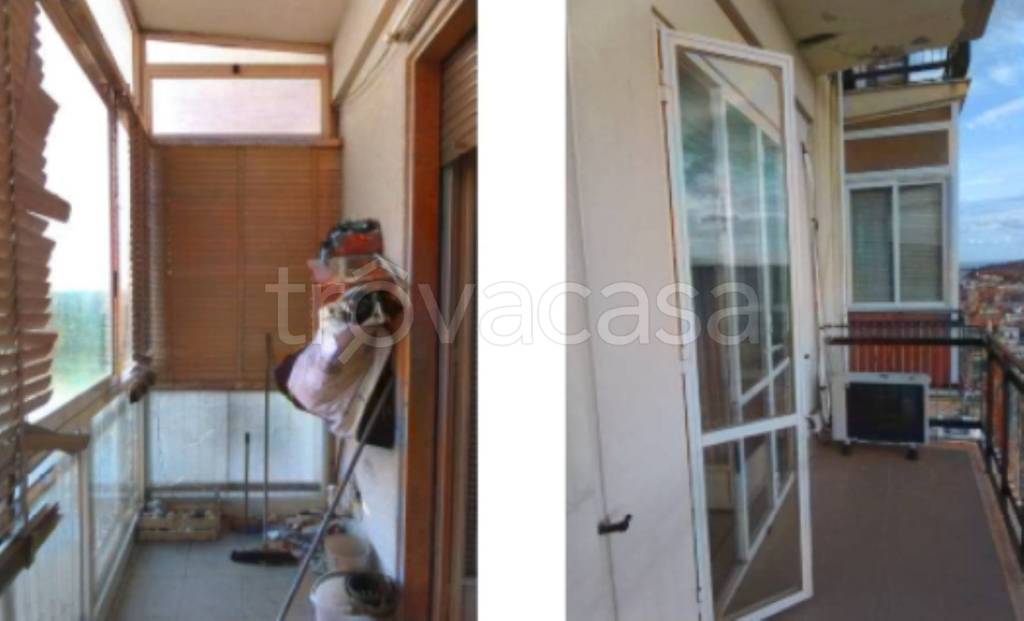 immagine annuncio 8 di 14