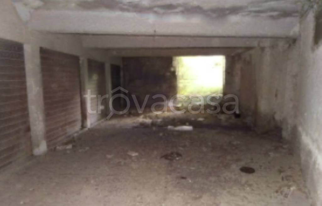 immagine annuncio 12 di 14