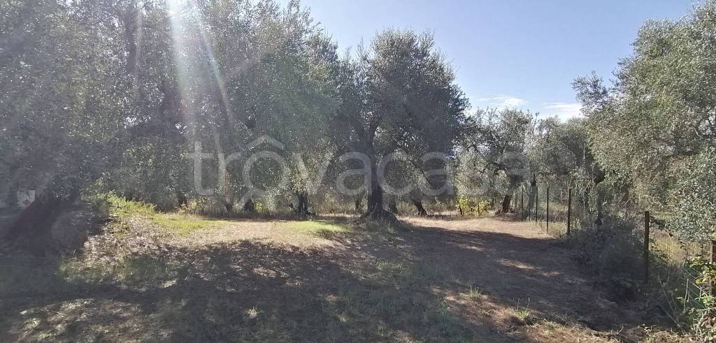 immagine annuncio 1 di 7