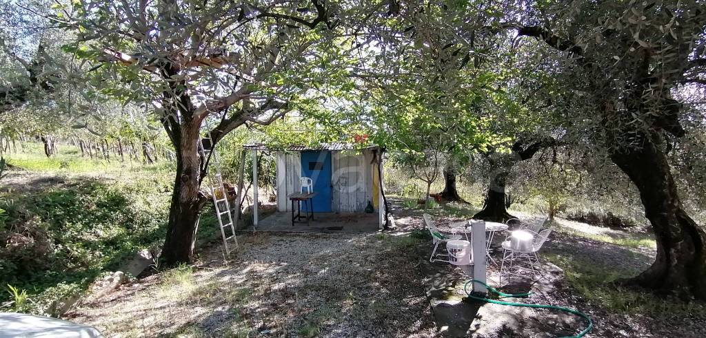 immagine annuncio 3 di 7