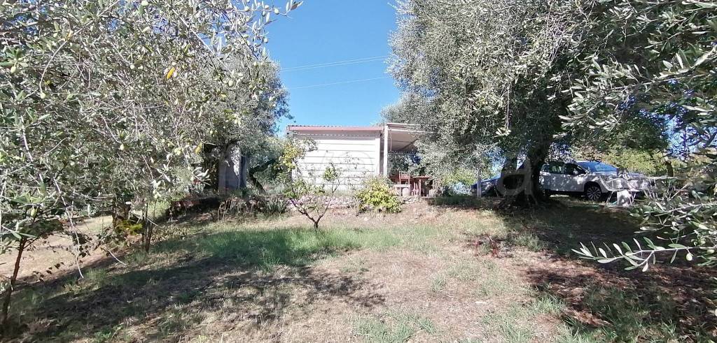 immagine annuncio 5 di 7