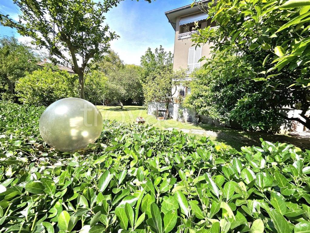 immagine annuncio 7 di 12