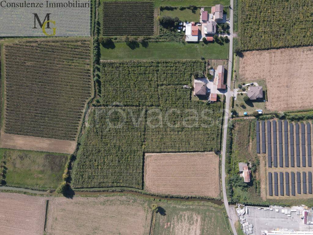 immagine annuncio 4 di 6