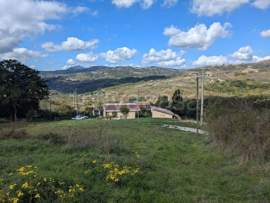 immagine annuncio 1 di 6