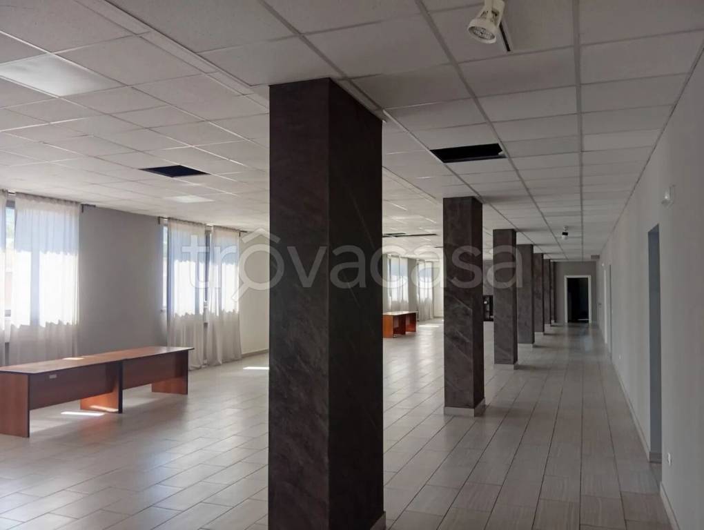 immagine annuncio 3 di 9