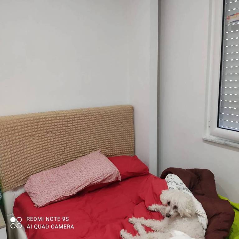 immagine annuncio 3 di 8