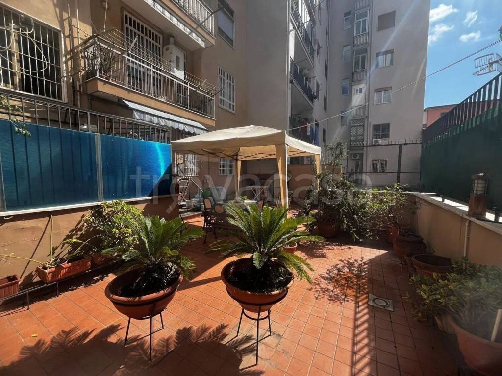 immagine annuncio 3 di 14