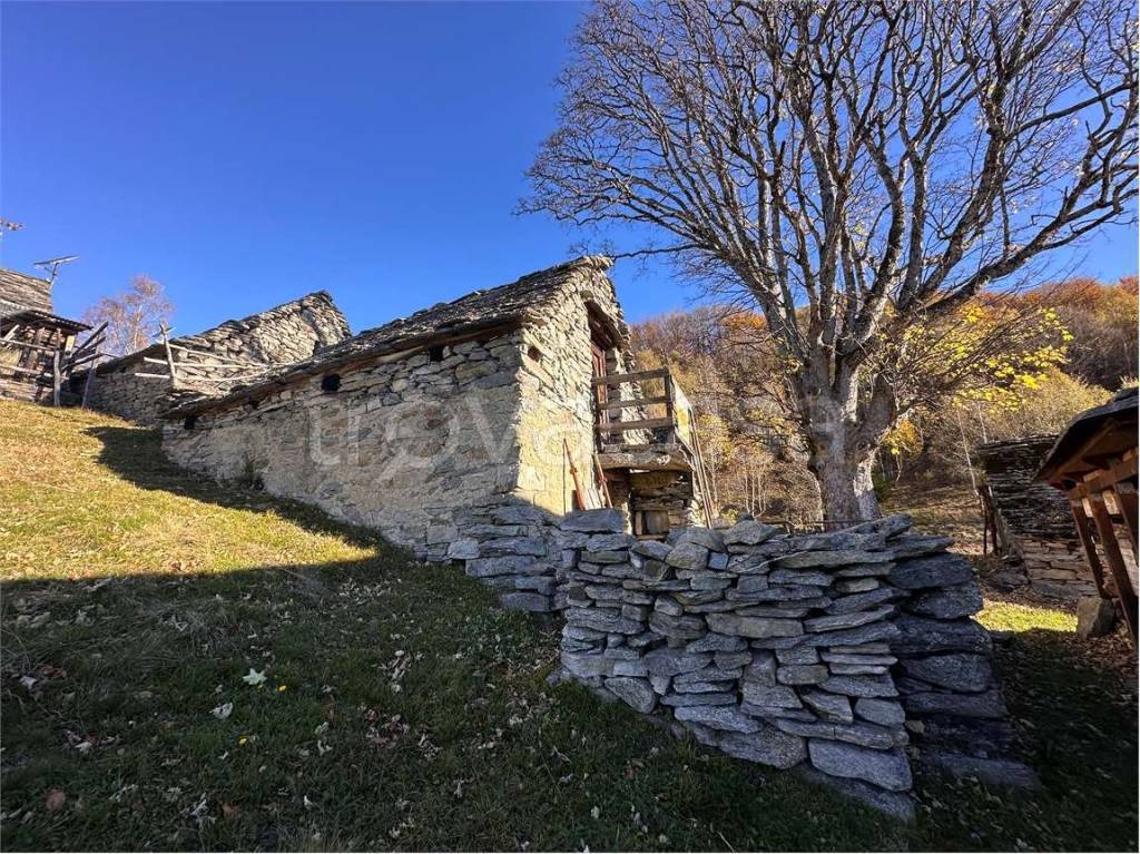 immagine annuncio 9 di 11