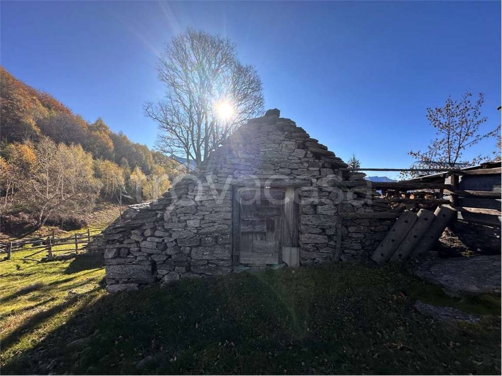 immagine annuncio 5 di 13