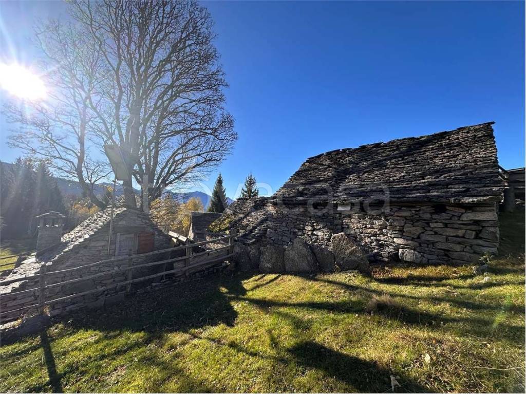 immagine annuncio 7 di 13