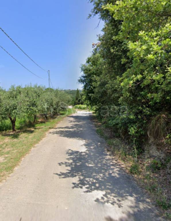 immagine annuncio 4 di 11