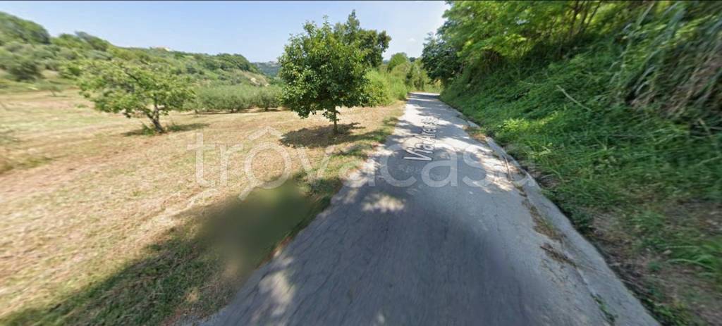 immagine annuncio 7 di 11