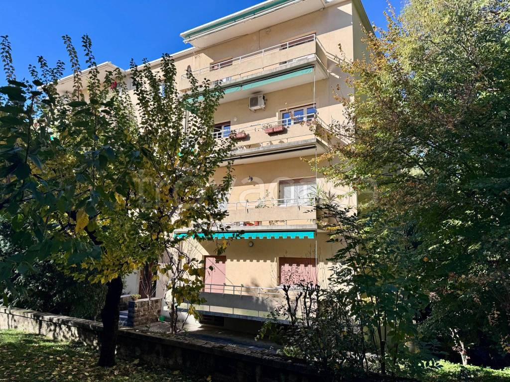 immagine annuncio 3 di 14