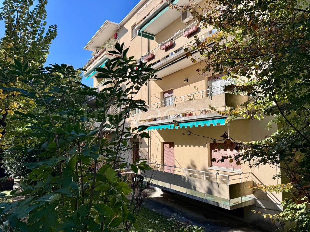 immagine annuncio 2 di 14